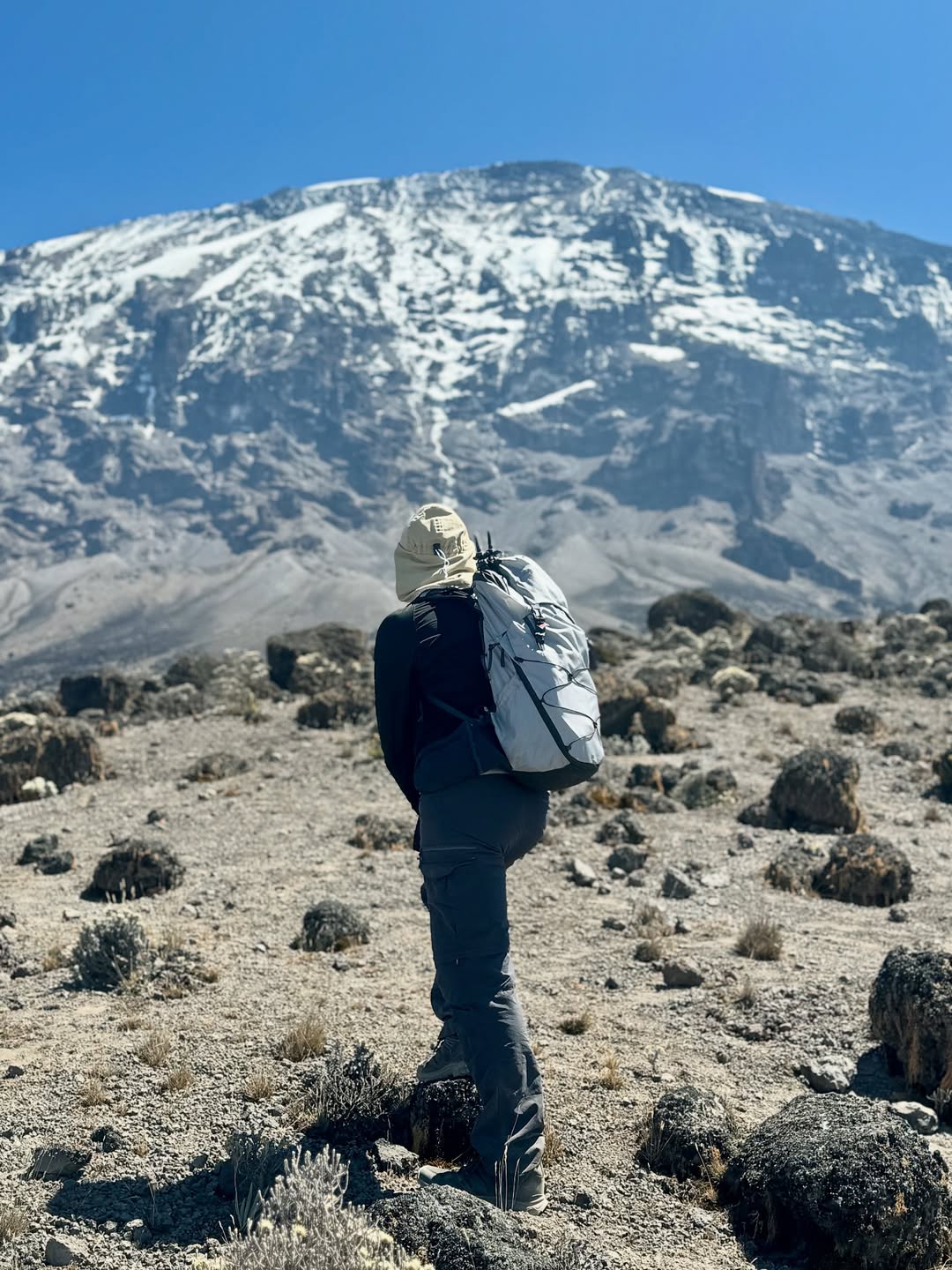 Tanzania - Serengeti National Park Wildlife